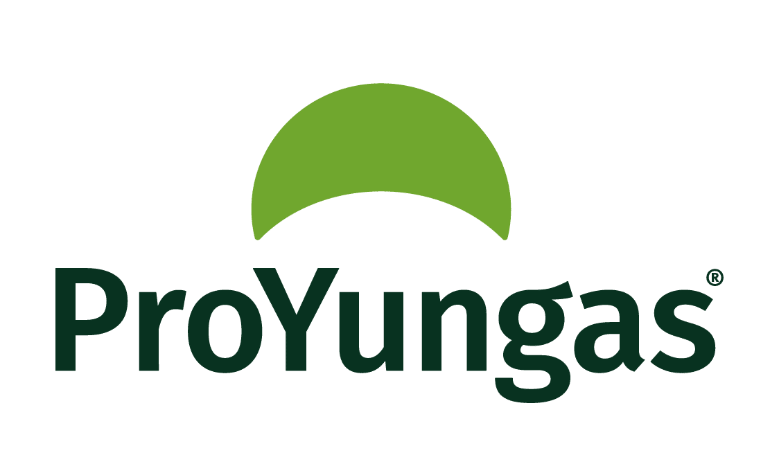 PROYUNGAS