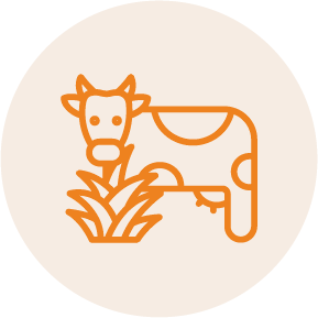 Producción agroganadera responsable